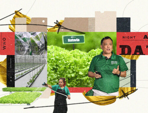 How More Veggies Please Brings a New Standard of Freshness on the Produce Aisle